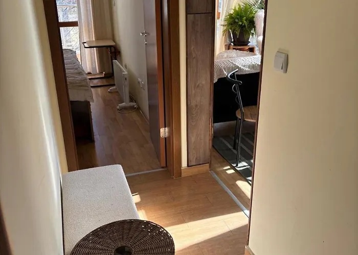 Apartman At The Foot Of Pirin