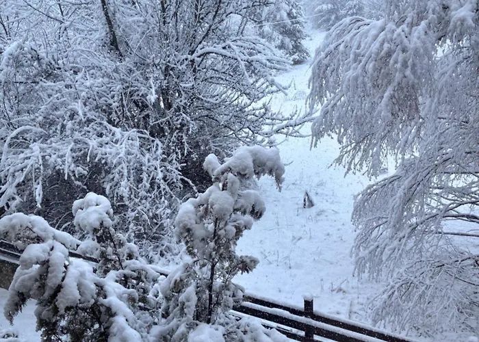 At The Foot Of Pirin Banszko