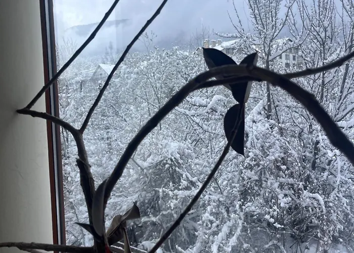 Apartman At The Foot Of Pirin Banszko