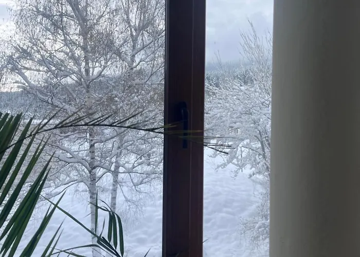 Apartman At The Foot Of Pirin