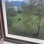 Daire At The Foot Of Pirin Bansko