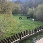 At The Foot Of Pirin Daire *