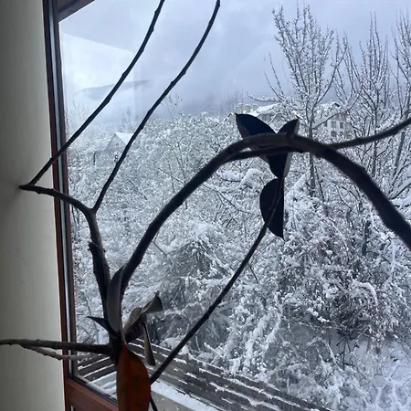 Lejlighed At The Foot Of Pirin Bansko