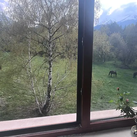 公寓 At The Foot Of Pirin 班斯科