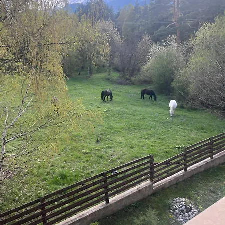 At The Foot Of Pirin Apartment *