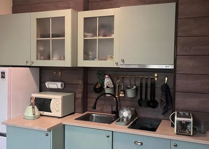 At The Foot Of Pirin 公寓 班斯科