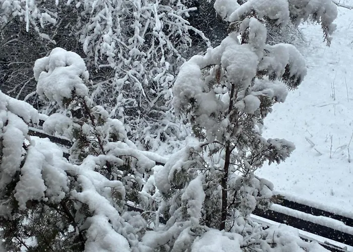 公寓 At The Foot Of Pirin 班斯科