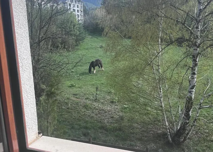 公寓 At The Foot Of Pirin 班斯科