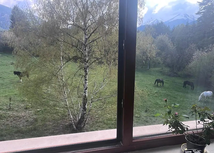 公寓 At The Foot Of Pirin 班斯科