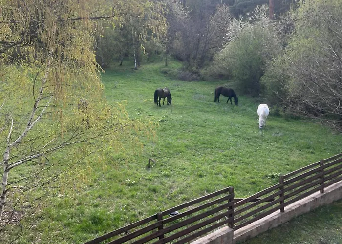 At The Foot Of Pirin 公寓 *